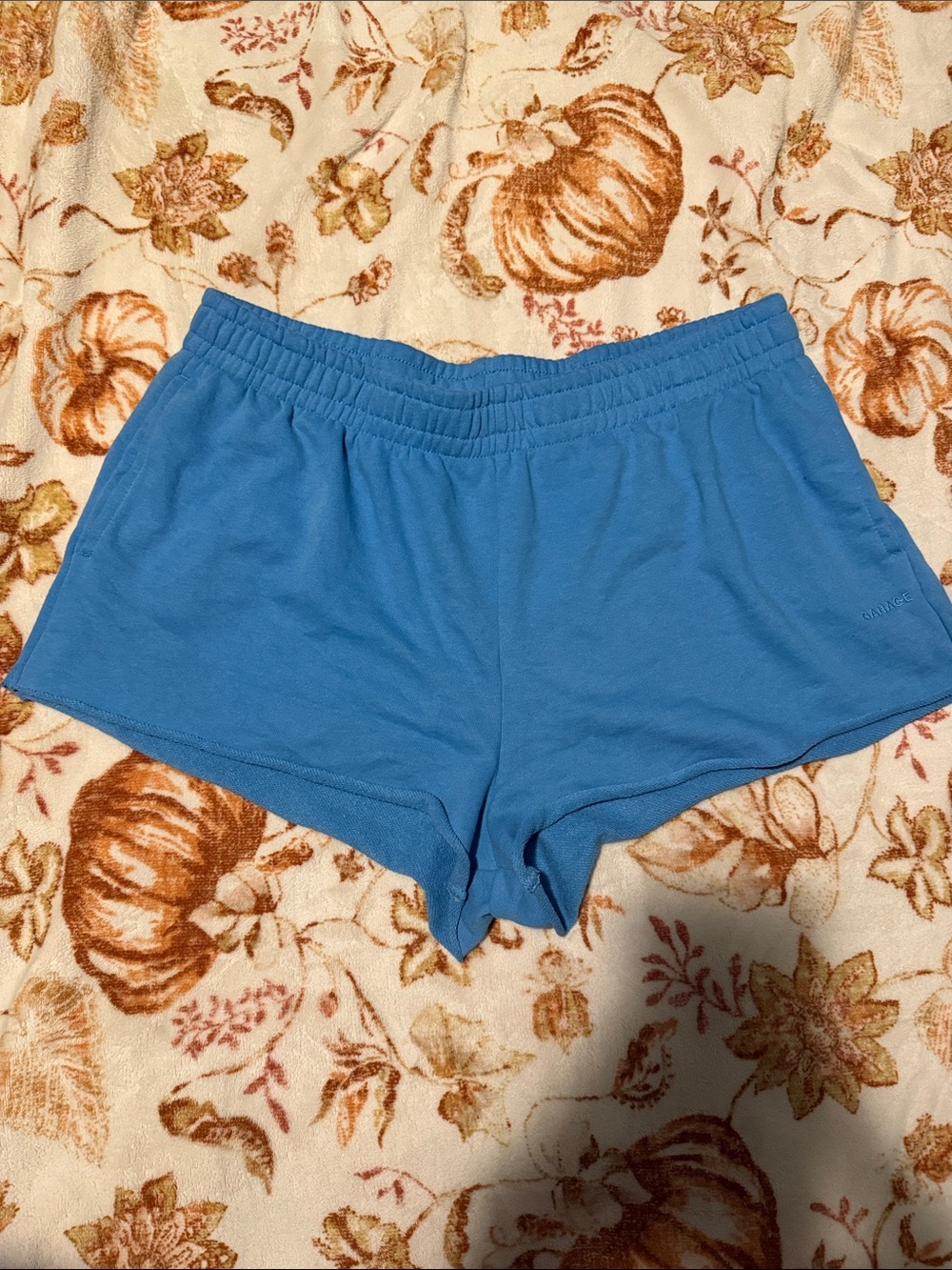 Garage Sky Blue Athletic Knit Shorts